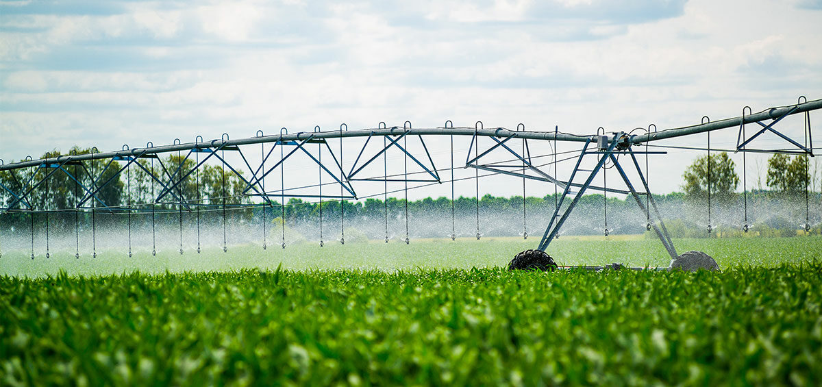 Water Management