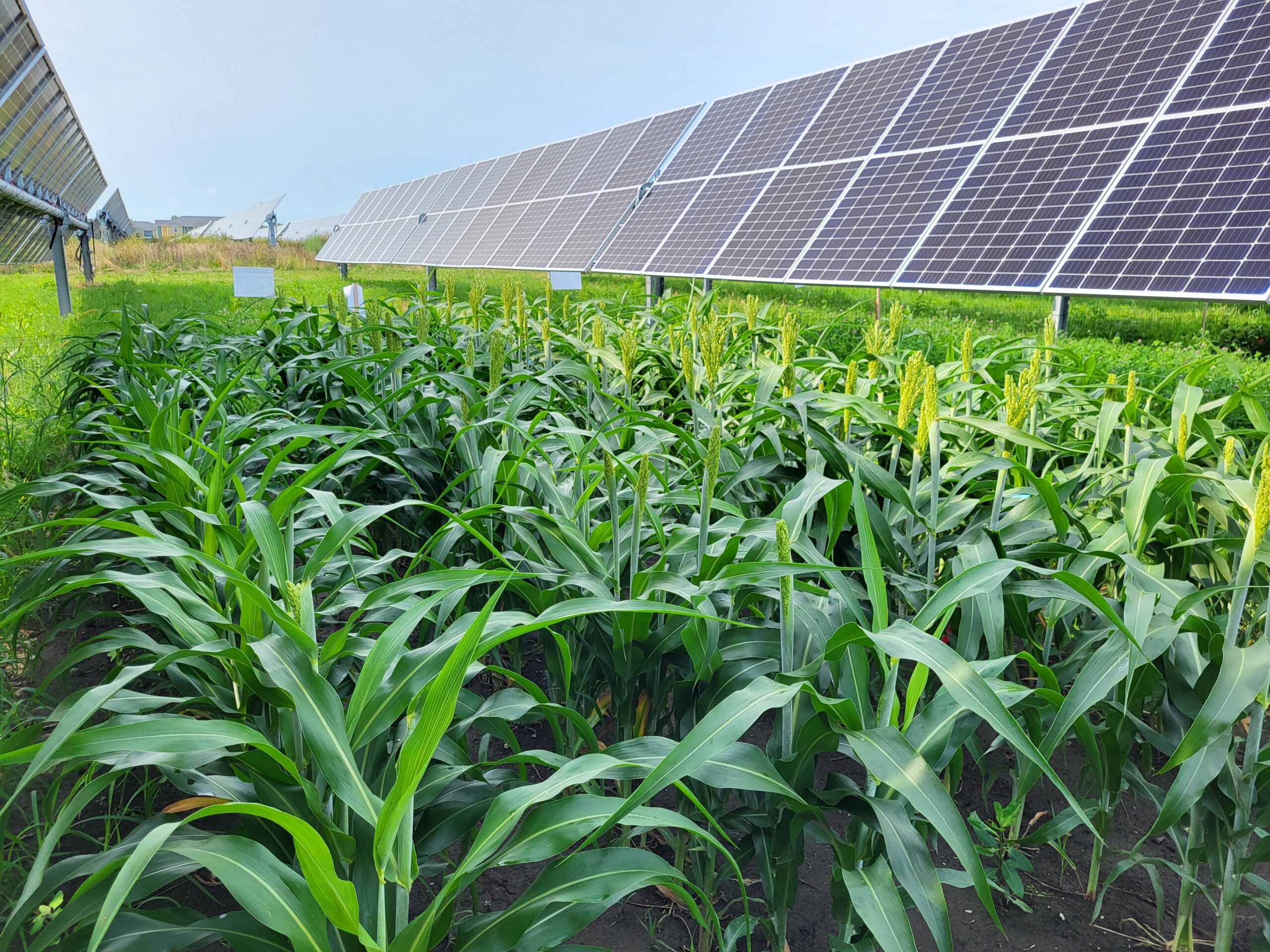 Solar Energy
